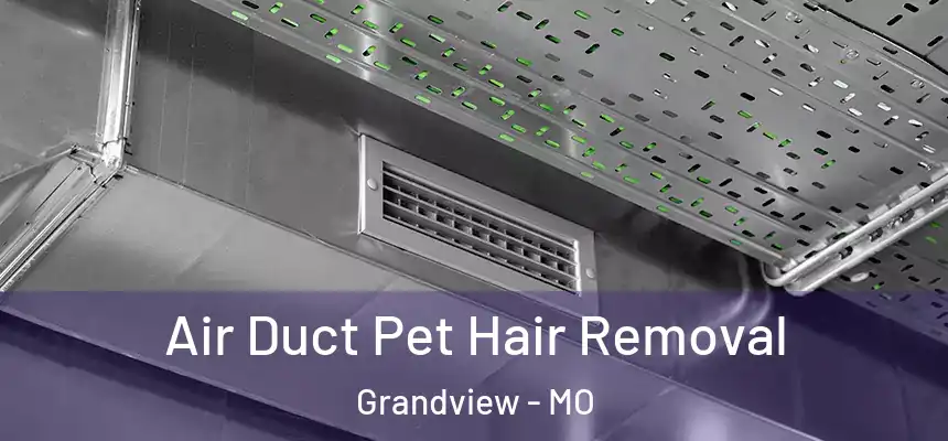  Air Duct Pet Hair Removal Grandview - MO