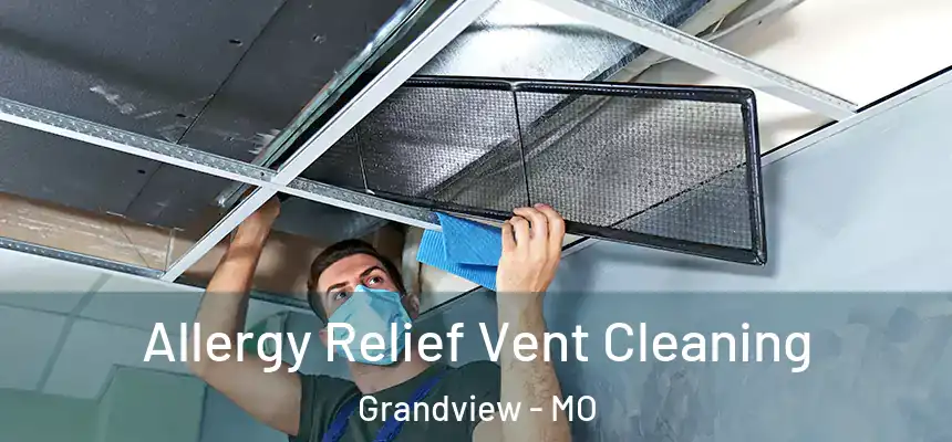 Allergy Relief Vent Cleaning Grandview - MO