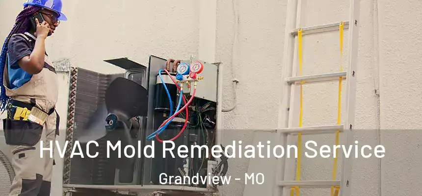 HVAC Mold Remediation Service Grandview - MO