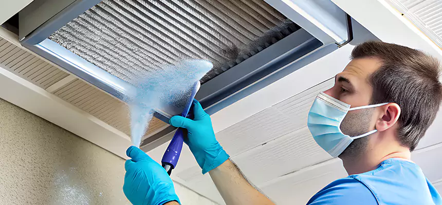 Proactive Dryer Vent & Auxiliary Duct Pollen Cleanup in Grandview, MO