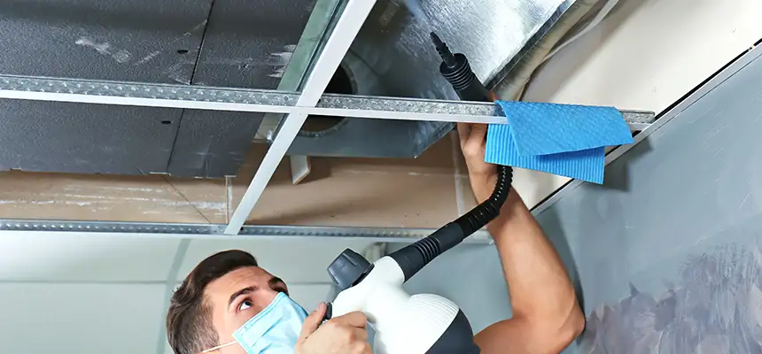 Our Air Duct Rodent Removal Services in Grandview, MO