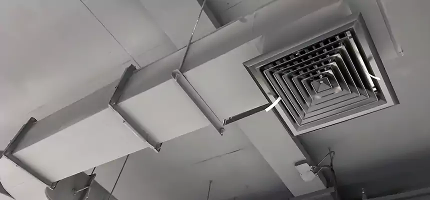 Restorative Allergy Relief Vent Cleaning – Coil, Blower & Housing Detail in Grandview