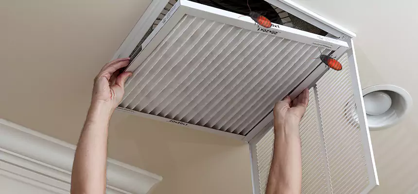 Our Insect Removal from Air Ducts Services in Grandview, MO