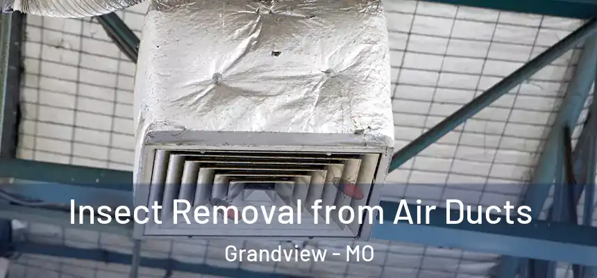  Insect Removal from Air Ducts Grandview - MO