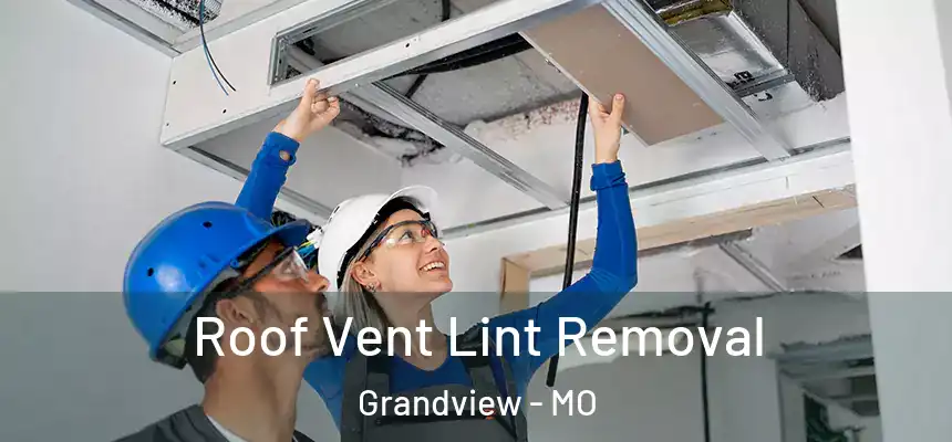  Roof Vent Lint Removal Grandview - MO