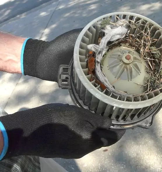 About Air Duct Rat Removal in Grandview, MO